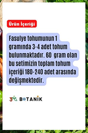 Fasulye Mega Tohum Seti, 4 Farklı Çeşit Fasulye Tohumu, Toplam 60 Gram 200 Adet Tohum