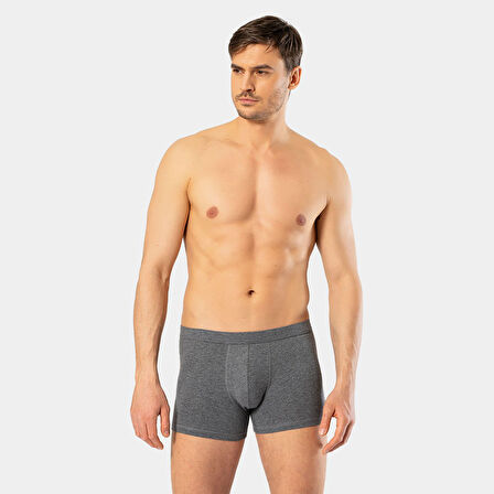 Cacharel Erkek Likralı Boxer 1335/Antrasit 