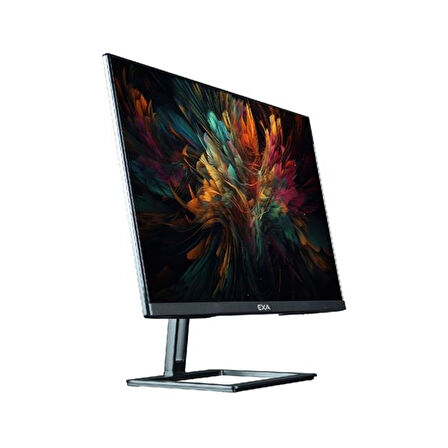 EXA C54 i5-14400 40GB 512GB SSD 23.8" FHD Windows 11 Pro All In One Pc X24S 023