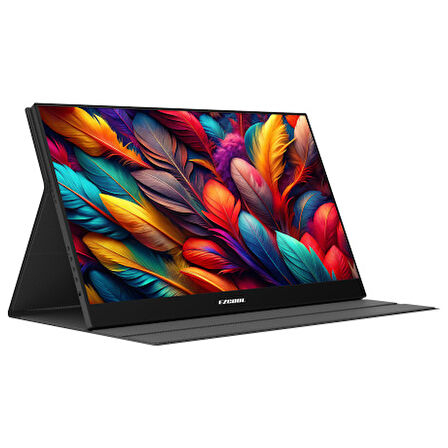 Ezcool Lite E15 15.6 inç 60 Hz FHD Portable Taşınabilir Monitör