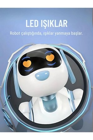 Akıllı Programlanabilir Uzaktan Kumandalı Dans Eden Robot Köpek LED Işıklı, Müzikli, İnteraktif Oyuncak