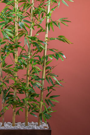 170 Cm Bambu Seperatör