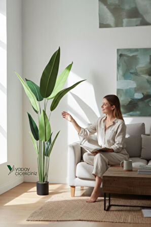 180 Cm Boyunda 14 Dallı Lüks Yoğun Starliçe Ağacı