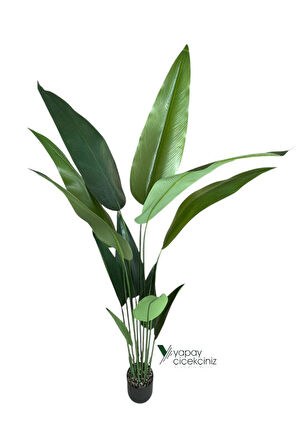 180 Cm Boyunda 14 Dallı Lüks Yoğun Starliçe Ağacı