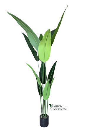 180 Cm Boyunda 14 Dallı Lüks Yoğun Starliçe Ağacı