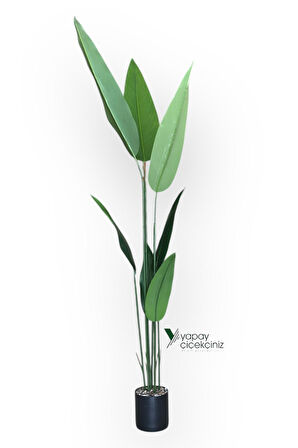 180 cm 7 Dallı Lüks Islak Dokulu Starliçe Ağacı