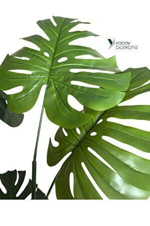 150 cm 7 Dallı Islak Dokulu İri Yapraklı Lüks Yapay Monstera Deve Tabanı Ağacı 