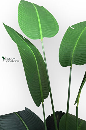 12 Dallı 195 cm Dokulu İri Yapraklı Lüks Starliçe Ağacı