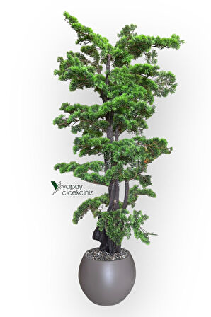 Modern Küre Saksıda 180 cm Yoğun Yapraklı Lüks Bonzai Bonsai Ağacı