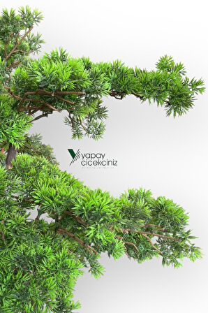 Modern Küre Saksıda 180 cm Yoğun Yapraklı Lüks Bonzai Bonsai Ağacı