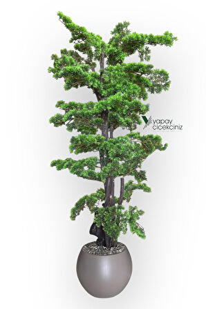 Modern Küre Saksıda 180 cm Yoğun Yapraklı Lüks Bonzai Bonsai Ağacı
