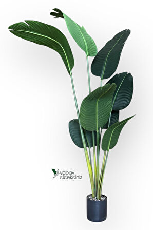Yapay Ağaç Starliçe Lüks Gerçek Dokulu 8 Dallı İri Büyük Yaprak 155 160 cm