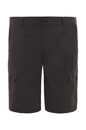 The Northface Erkek Horizon Short T0Cf7203B Şort