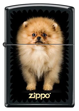 Zippo Çakmak Z-CI401748-218