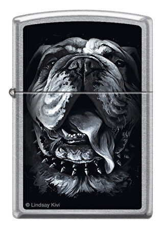 Zippo Lindsay Kivi Çakmak