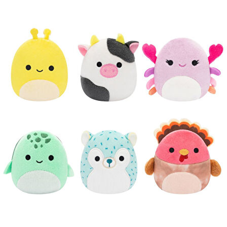 Squishmallows Micromallows 6'lı Figür Paketi MM0011