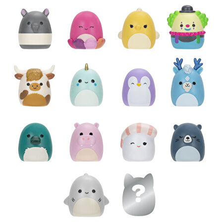 Squishmallows Squish-a-longs 14 Figür + Yüzük Set Seri 2 AL0030