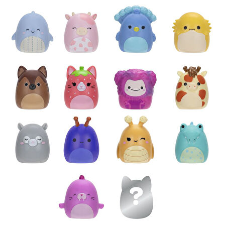 Squishmallows Squish-a-longs 14 Figür + Yüzük Set Seri 2 AL0066