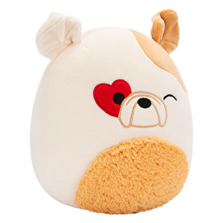 Squishmallows Buldog Brock 20cm VA01308
