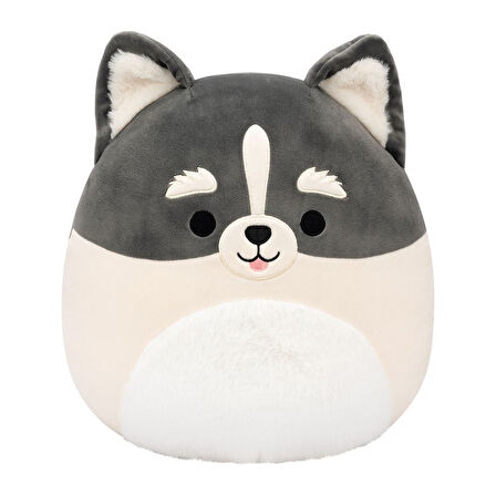 Squishmallows Pomsky Paolo 30cm CR07961