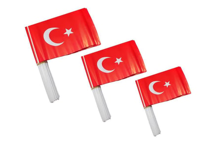 Eren Sopalı Türk Bayrağı Büyük 50 Li