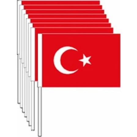 Eren Sopalı Türk Bayrağı 2*100 Adet