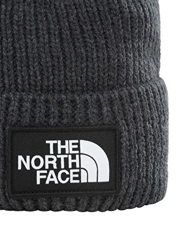 The Northface Tnf Logo Box Cuf Bere Nf0A3Fjxdyy1