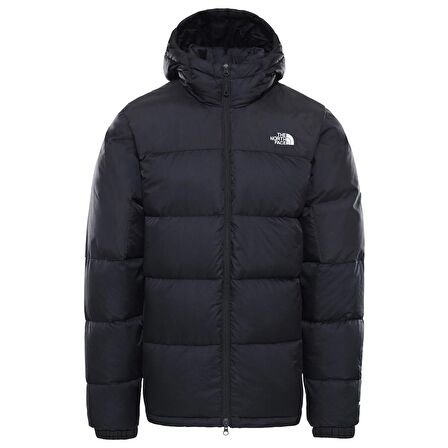 The North face Erkek DIABLO DOWN HOODIE Ceket NF0A4M9LKX71