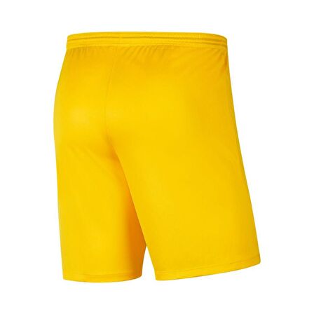 Nike M Nk Dry Park Iıı Short NB K Erkek Şort