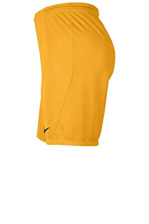 Nike Park III Erkek Spor Şort BV6855-739