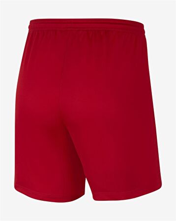 Nike Dri-FIT Park III Kadın Şort