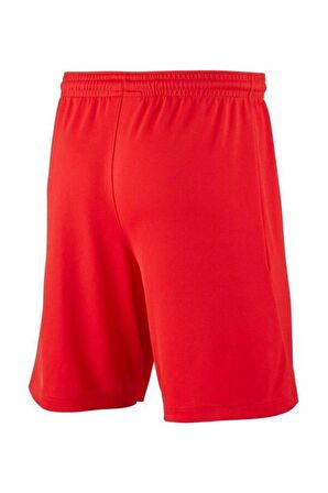 Nike Y Park iii Short Bv6865-657 Çocuk Şort