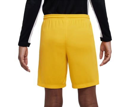 Nike Y Nk Df Park III Short Nb K Erkek Şort BV6865-739