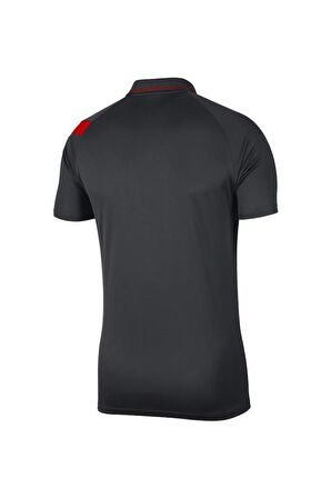 Nike Dry Acdpr BV6922-061 Erkek Polo Yaka T-Shirt