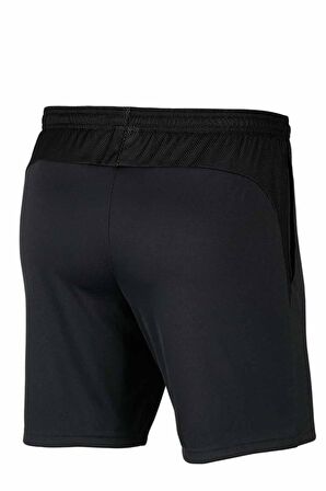 Nike M DRY ACDPR SHORT KP Erkek Şort BV6924-061