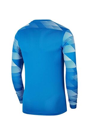 Nike M NK DF Park IV JSY GK CJ6066-463 Kaleci Forma