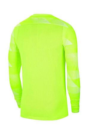 Nike M NK DF Park IV JSY GK CJ6066-702 Kaleci Forma