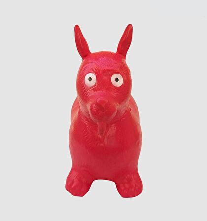 POMPA HEDiYELİ ŞİŞME  ZIP ZIP PİLATES & JİMLASTİK  HAYVANI KÖPEK