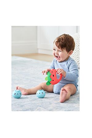 Skip Hop Farmstand Berry Cute Band Çıngırak Set