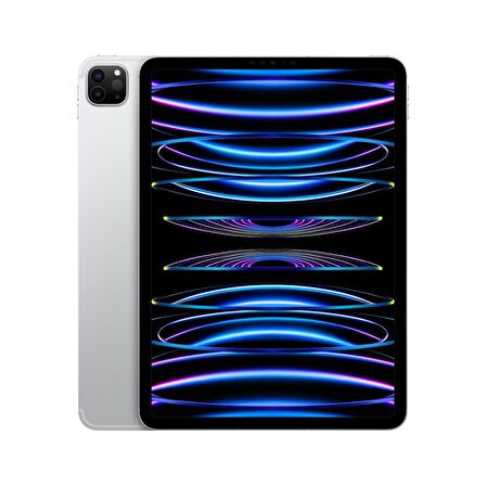 Apple iPad Pro 11 inç (4. Nesil) M2 Wi-Fi + Cellular 2TB MNYM3TU/A - Gümüş
