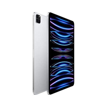 Apple iPad Pro 11 inç (4. Nesil) M2 Wi-Fi + Cellular 2TB MNYM3TU/A - Gümüş