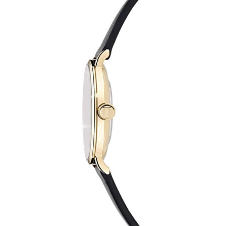 Ted Baker TBBKPSGF501 Erkek Kol Saati