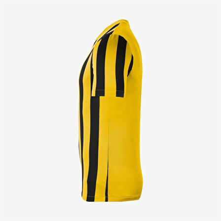 Nike M Striped Division IV Jsy Erkek Forma