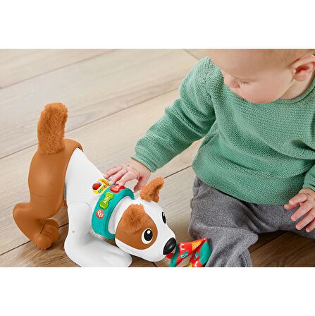 Fisher Price Emeklemeyi ve Saymayı Öğreten Köpekçik