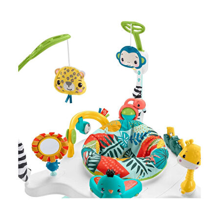 Fisher Price Jumping Jungle Jumperoo HJC37