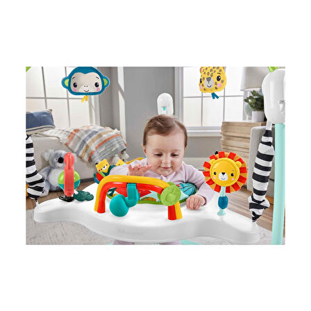 Fisher Price Jumping Jungle Jumperoo HJC37