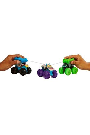 Mattel Hot Wheels Truck Color Reveal Araçlar HJF39