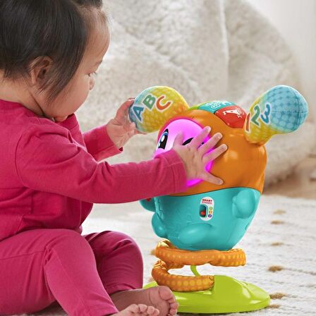 Fisher Price Sevimli DJ HJP Lisanslı Ürün