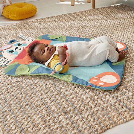 Fisher-Price Roly-Poly Panda Play Mat 