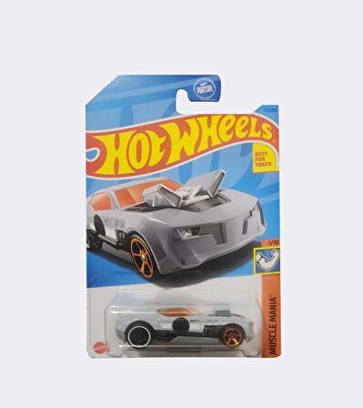 Hot Wheels Tekli Koleksiyon Arabalar Twinduction HKK88